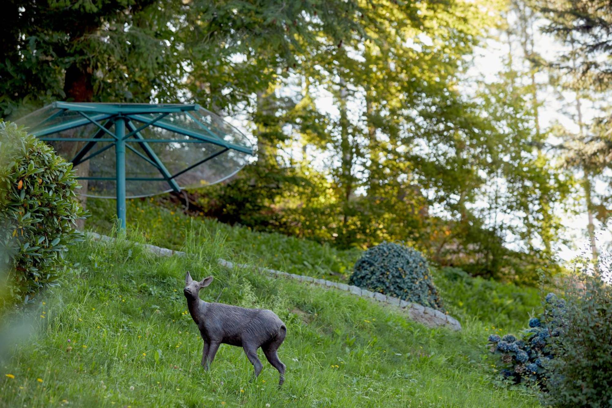 Hotel Dollenberg Bad Peterstal-Griesbach Pokoj fotografie